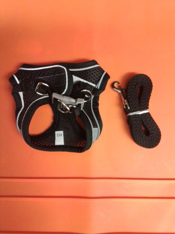 Miniature Dog Harness with Leash_NEW_$5