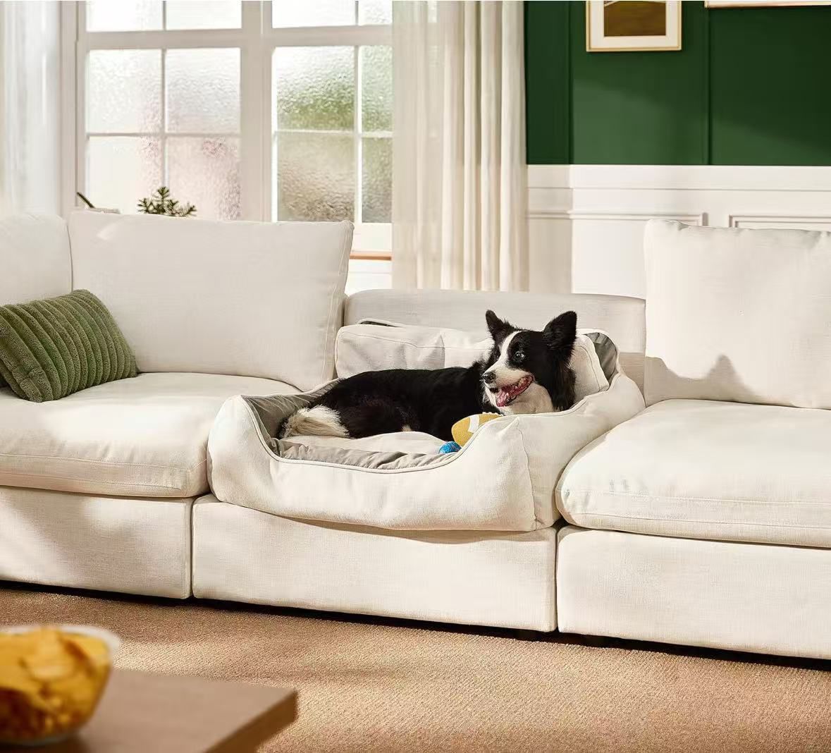 The dog sofa bed is removable and washable, suitable for dogs under 45 pounds, and comes in off-white or gray.