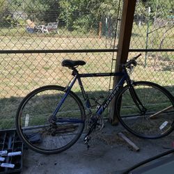 Novara Express Bike 