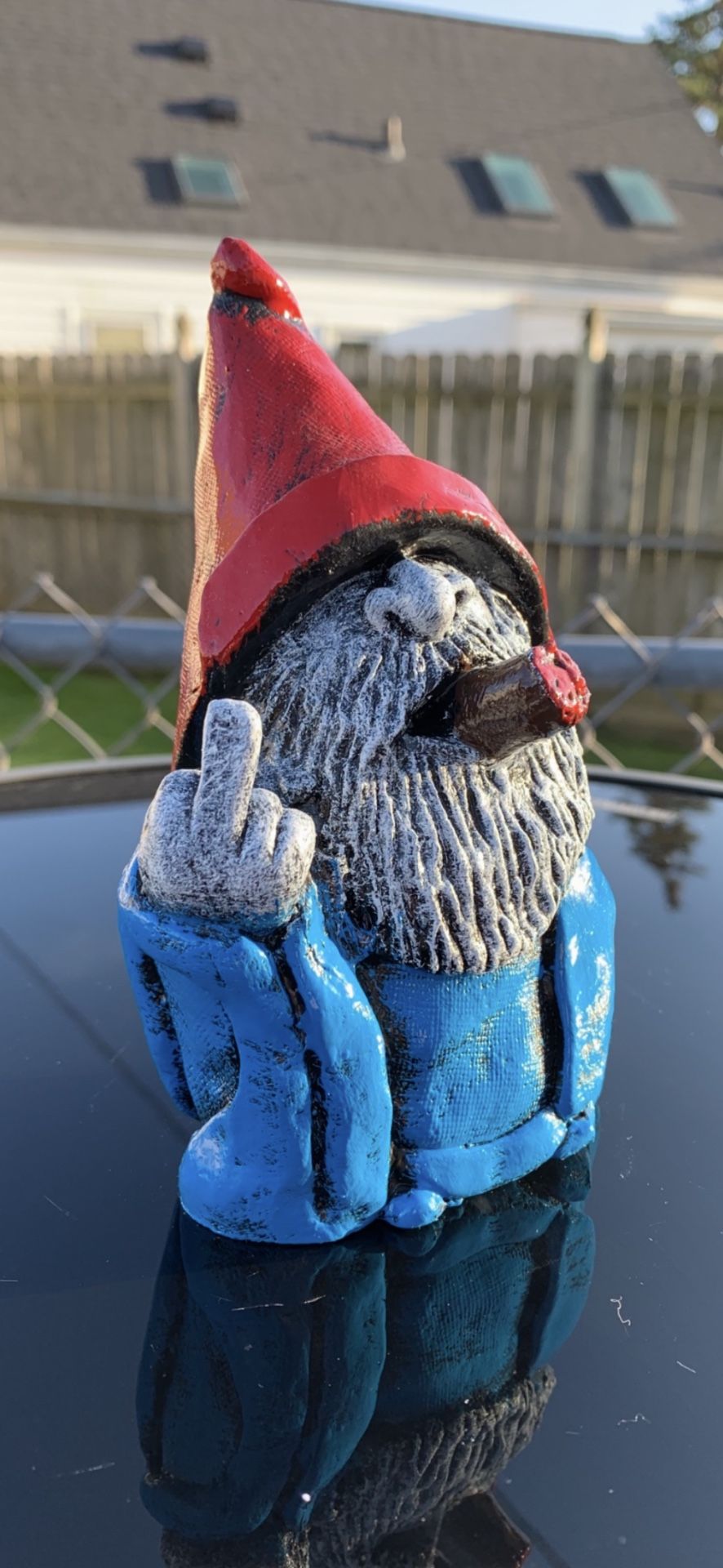 The middle finger gnome