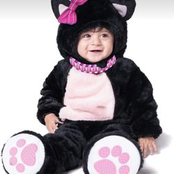 Baby Black Kitten 12-18