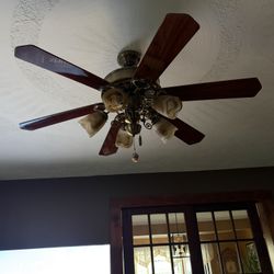 Ceiling Fan