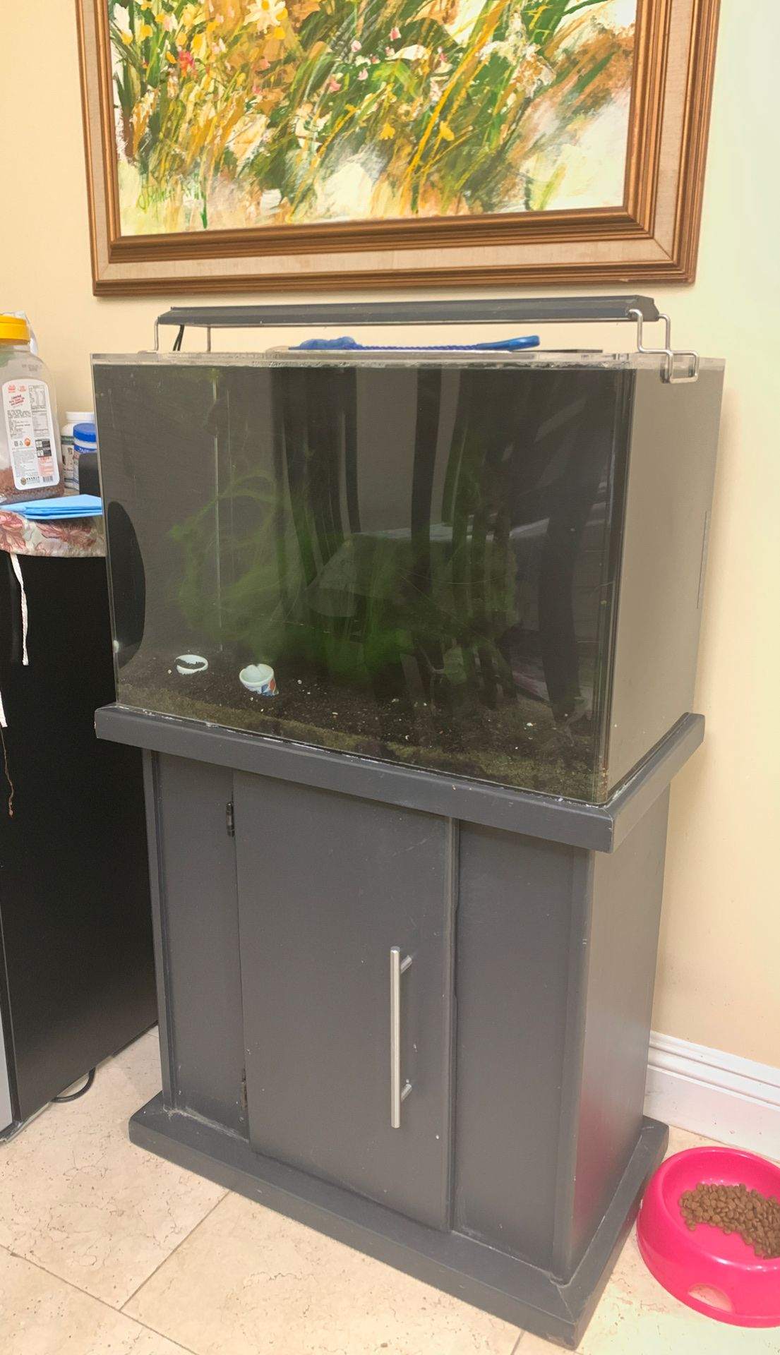 21 gallon Fish tank with stand 25 x 14 x 40