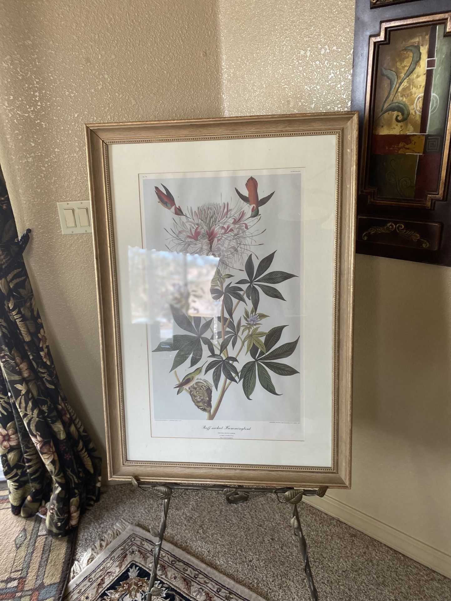 Framed Botanical Print 