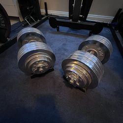 Adjustable Dumbbells 