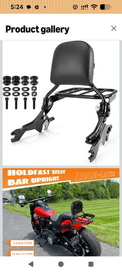 Eumti Holdfast sissybar and rack