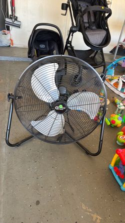 Fan