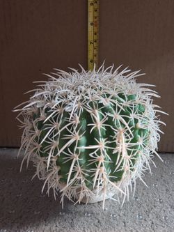 Medium Barrel Cactus Fake Plant