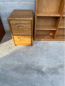 ✨ Vintage Oak 2-Drawer File Cabinet / Storage Cabinet ✨