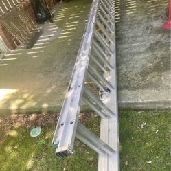 Extendable Ladder 