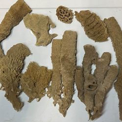 9 Sponges assorted types and sizes