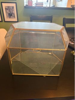 Glass and gold terrarium