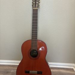 Guitar