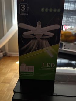 Socket Fan /Light