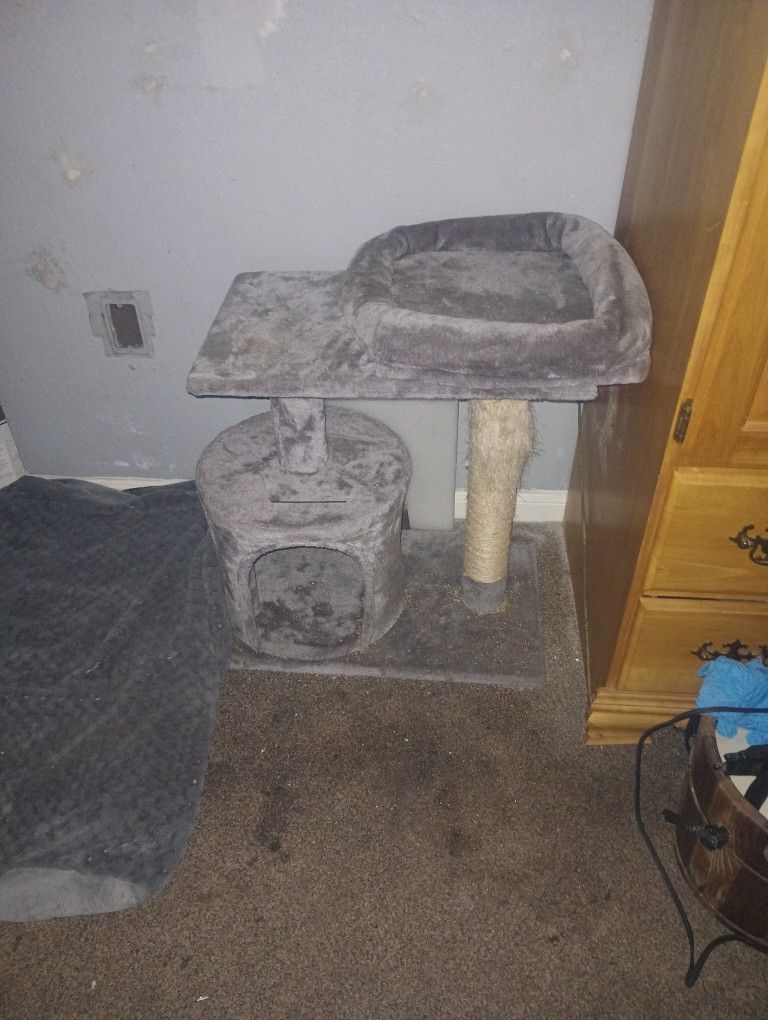 Cat Tower