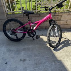 Pink Bike 20”