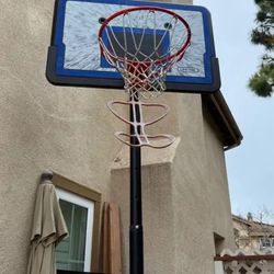 Lifetime Brand Self Standing Basketball Hoop