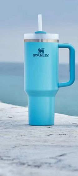 Stanley Quencher Tumbler with Handle and Straw