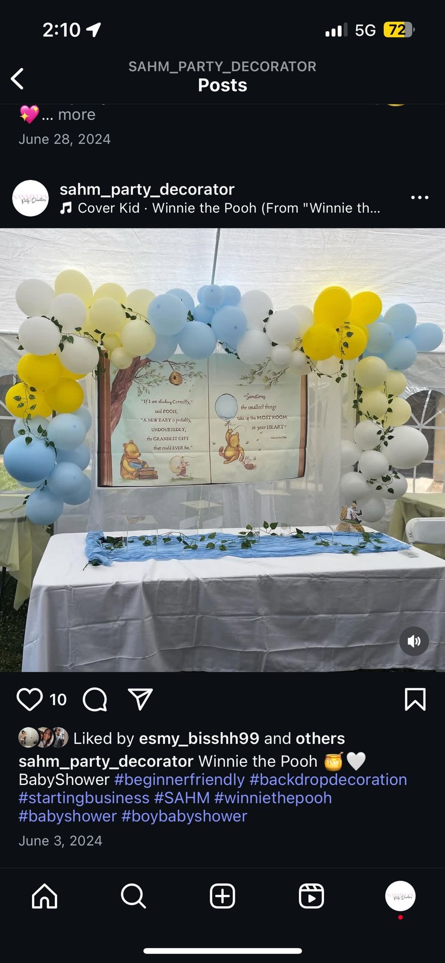 Party decorator Budet Friendly