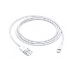 Apple Charger cable
