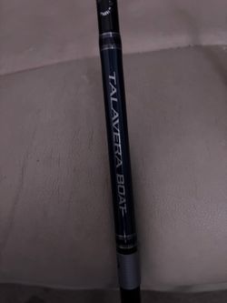 Spinning rod