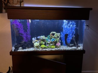 75 Gallon Tank