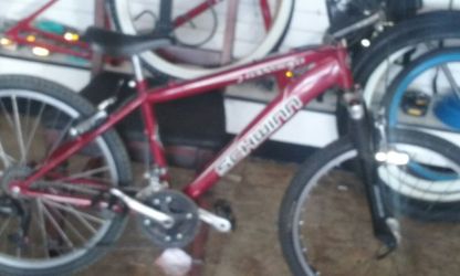 Schwinn #24