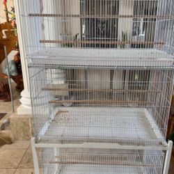 Bird Cages . Jaula Para Pájaros. Pregunta Por El Precio. 
