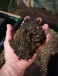 Cleaned , Dry And Freshly Prepared Worm Castings