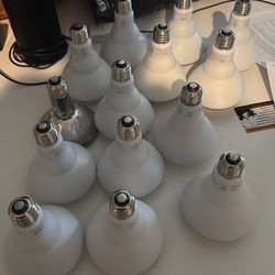 Led flood light bulbs - 14