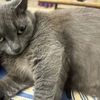 Sam