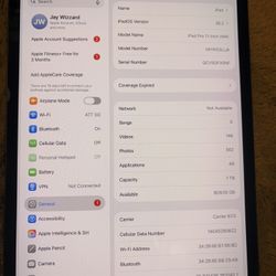 iPAD PRO M4 1TB