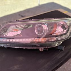 Honda Accord Headlight 