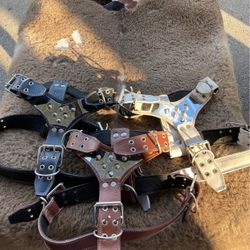 Pecheras Para Perro / Dog Harness 