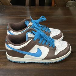 RARE 2006 Nike Dunk low 6.0