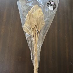 Sun cut palm spears – home decor - Lanzas de palma cortadas decoración hogar