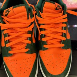 Dunks size 10