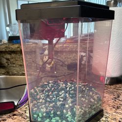 Small Fish Tank With Rocks & Changing Lights 