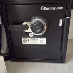 Sentry Safe