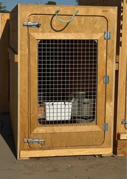 Jaulas / cages