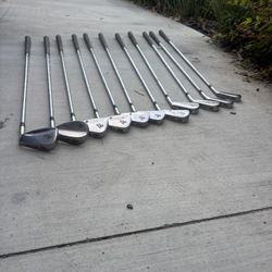 Rare TaylorMade ICW5 Iron Set 1-9,P, S Dynamic Gold RH Golf Clubs (11Clubs)
