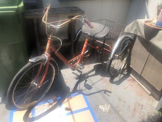 Triciclo