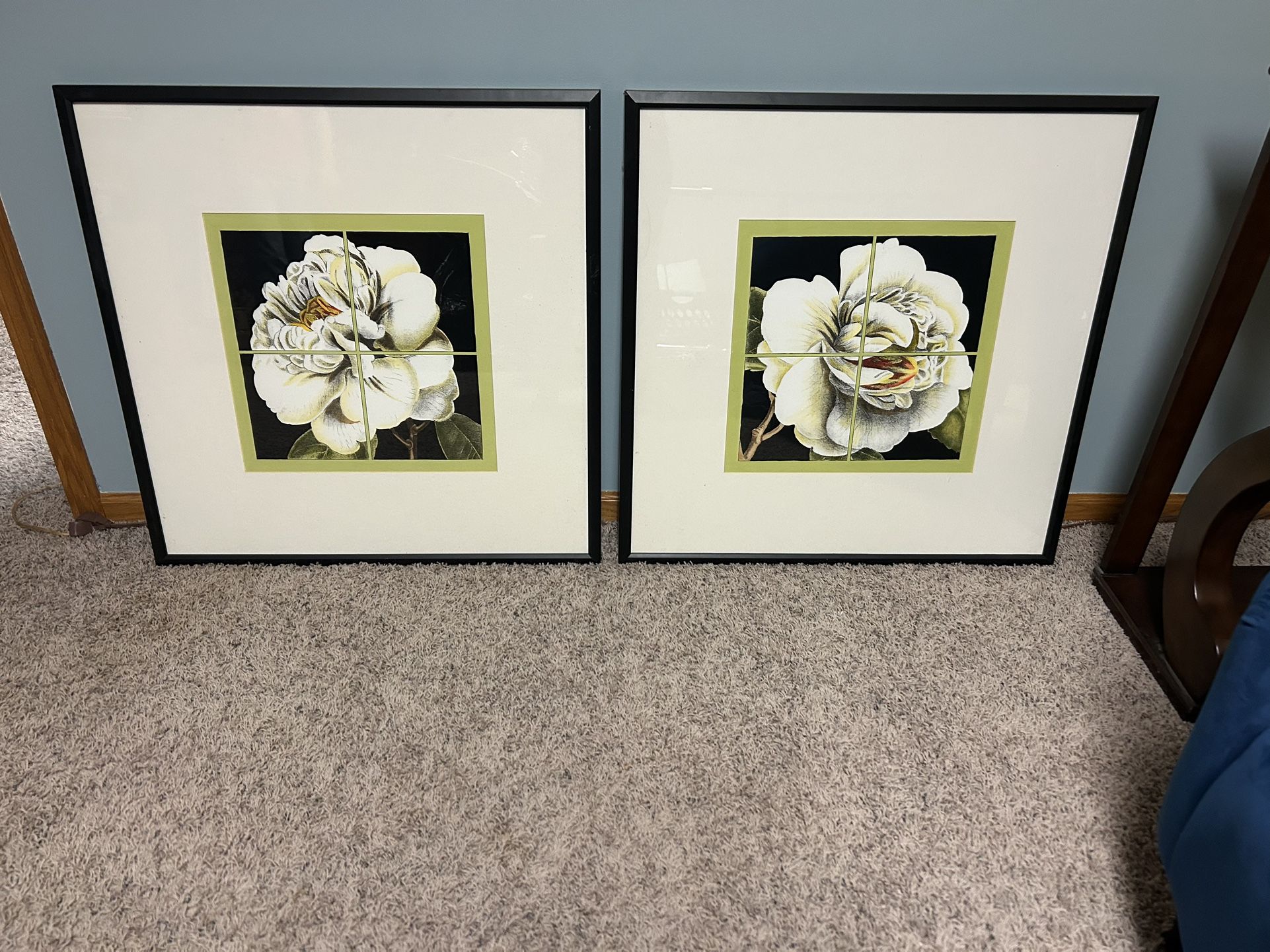 Floral Pictures