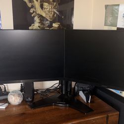 ASUS Dual 23.8” Monitors