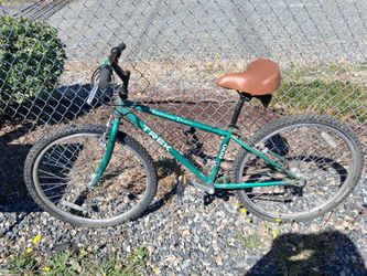 26 in Bike