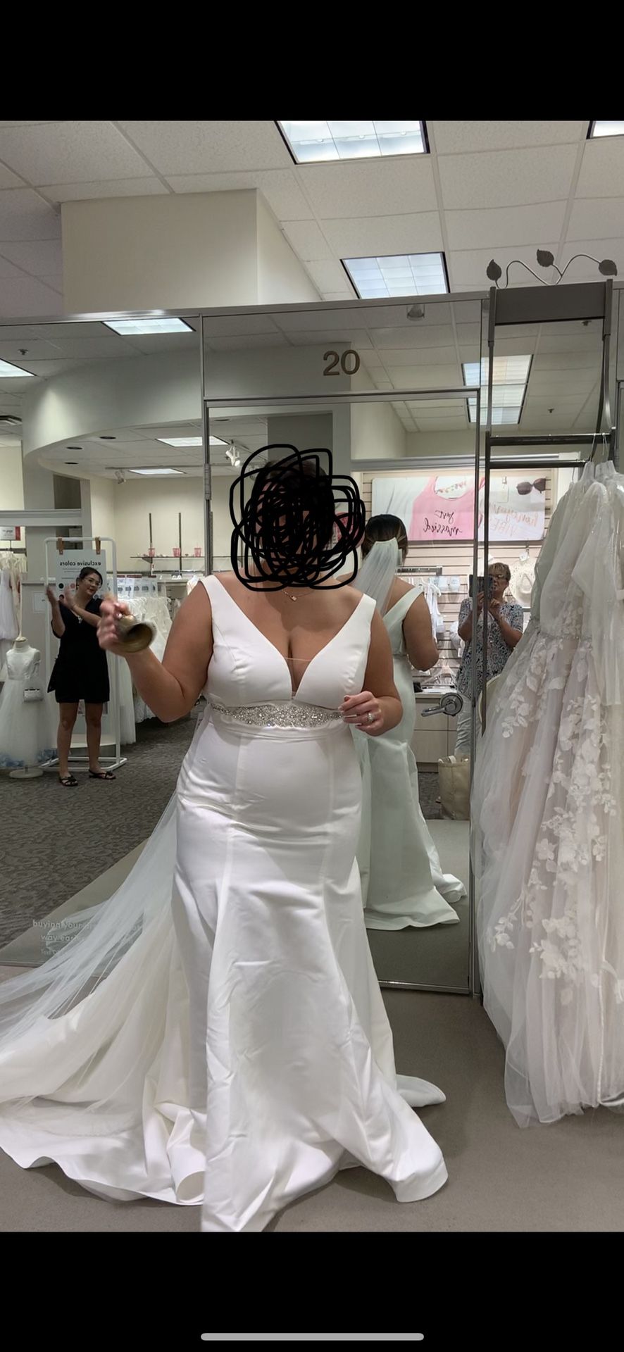 Wedding Dress & Veil