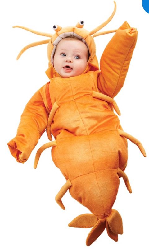 Baby Infant Shrimp Bunting Costume size 0-6 months