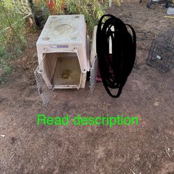 Dog Crates 