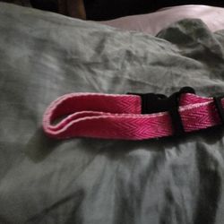 Dog Collar 