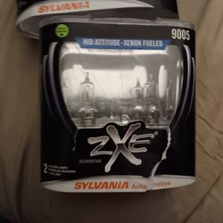 Zxe Headlight And Brake Light